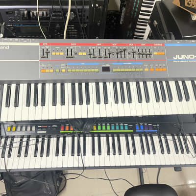 Roland Juno-106 61-Key Programmable Polyphonic Synthesizer 20250817