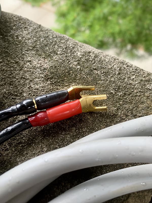 MIT Terminator 4 1990's Gray | Reverb