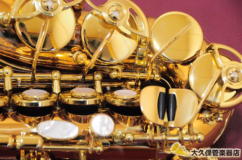 管楽器・吹奏楽器 YANAGISAWA SC-992 YANAGISAWA SC-992 カーブドソプラノ