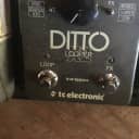 TC Electronic Ditto XL Looper Grey