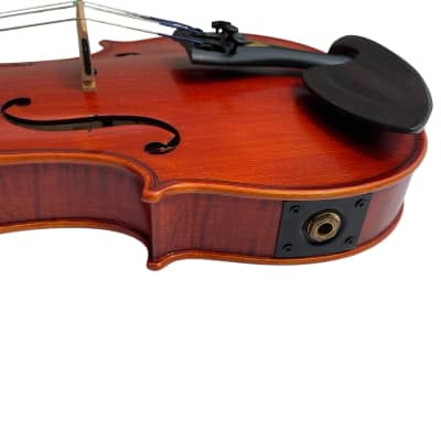 Wood Violins Concert Deluxe 2010s - Colibri Demo model image 5