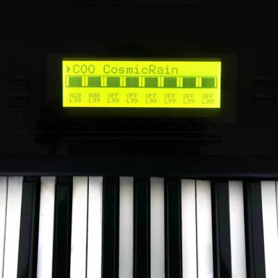 LCD Display Gelb mit Kabel für Korg 01/W