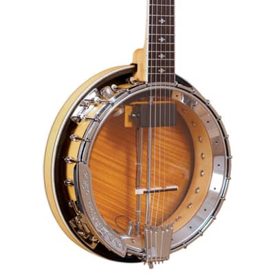 Gold Tone Professional 6-String Banjitar image 3