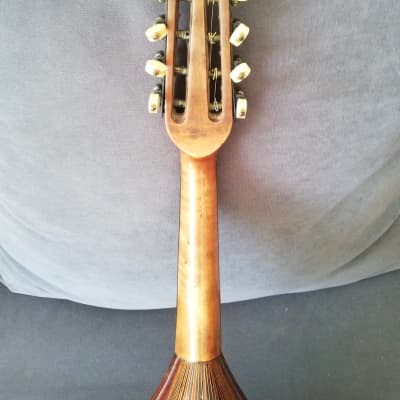 Francesco Olivieri Mandolino image 8