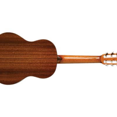 Cordoba Requinto Iberia Series 1/2 Size Nylon String Guitar - Open Box image 5