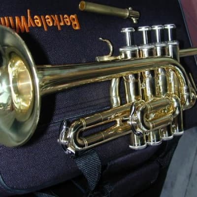 BerkeleyWind Pro Bb/A/G Gold Brass Piccolo Trumpet | Reverb
