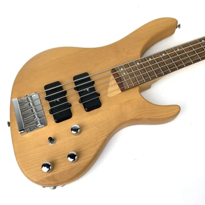 Washburn XB-500 Active Bass Five Strings of Fury | Reverb