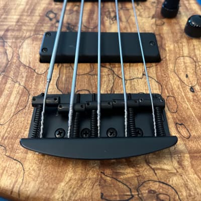 2015 Muckelroy Muck J5 Fretless Bass Natural Custom USA 5 String w/ RBX Gig Bag (9lbs) image 18