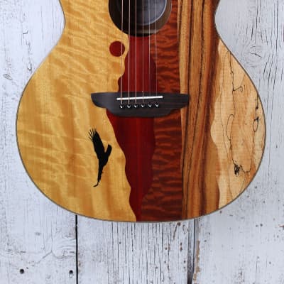 Luna Vista Eagle Grand Concert Cutaway Acoustic Electric Guitar w Hardshell Case for sale