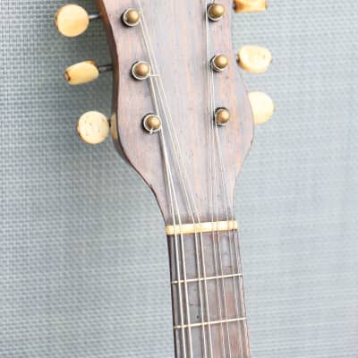 MANDOLIN ANTIQUE ITALIAN BOWLBACK ‘IL GLOBO’ 1890s ITALY image 21