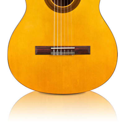 Cordoba Protege C1 - Full Size Classical Guitar - 650mm Scale Length - Spruce image 1