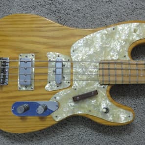 VINTAGE 1970'S AMPEG GEB 750 BIG STUD BASS W/GIG BAG | eBay