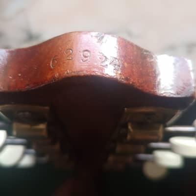 Herman Carlson Levin  mandolin from 1927. image 11
