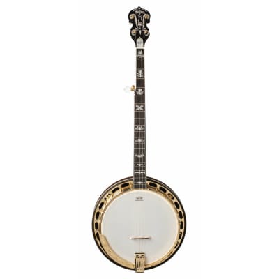 Washburn B17 Americana Series 5 String Banjo. Tobacco Sunburst image 2