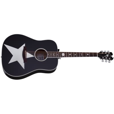 Schecter 282 Robert Smith RS-1000 Stage Acoustic Guitar, Solid Spruce Top for sale