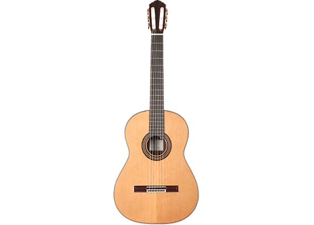 Walter verreydt guitar for sale sale