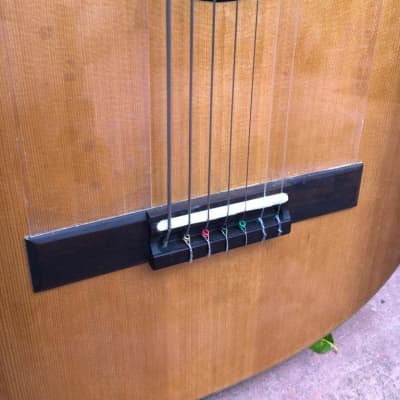 Wilson Campos 7-String Guitar, steel & nylon strings, 2021 image 3