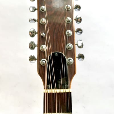 Vintage 1974 Giannini Craviola 12 String Gorgeous Brazilian Rosewood image 3