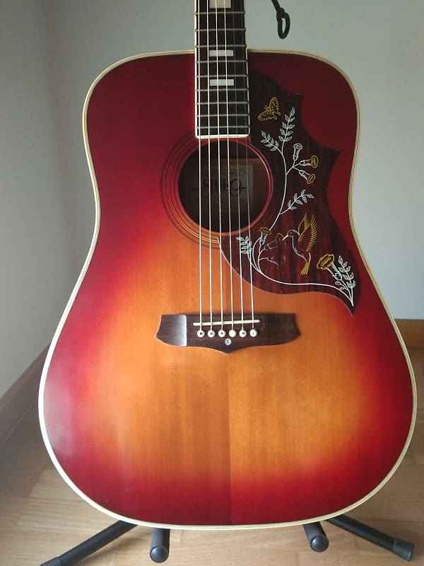 Hummingbird Shiro Japan vintage acoustic guitar Reverb