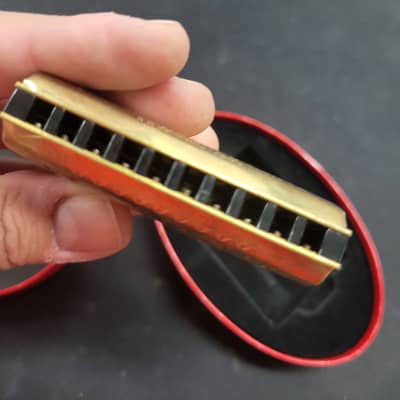 管楽器・吹奏楽器 Hohner Double Puck Harmonica 718MmexBYqL._UF350,350_QL50_.jpg