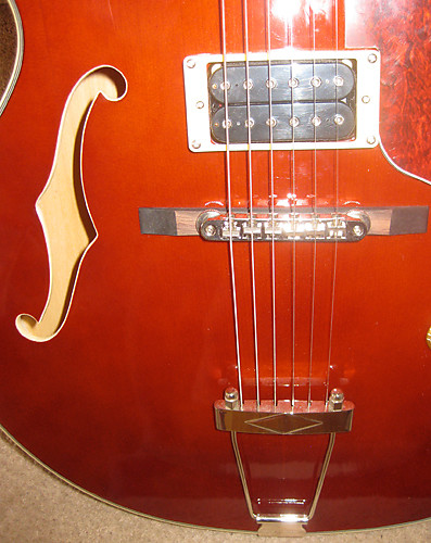 Douglas hollow store body guitar