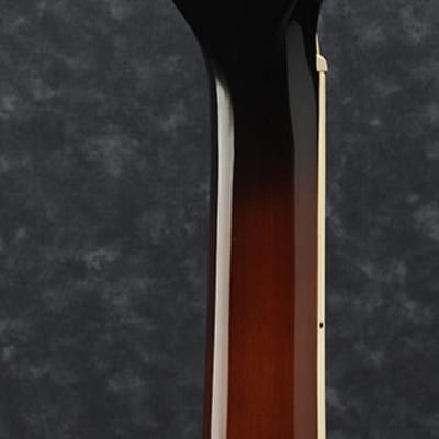 Ibanez PF28ECE Ac-El Guitar - Dark Violin Sunburst image 2