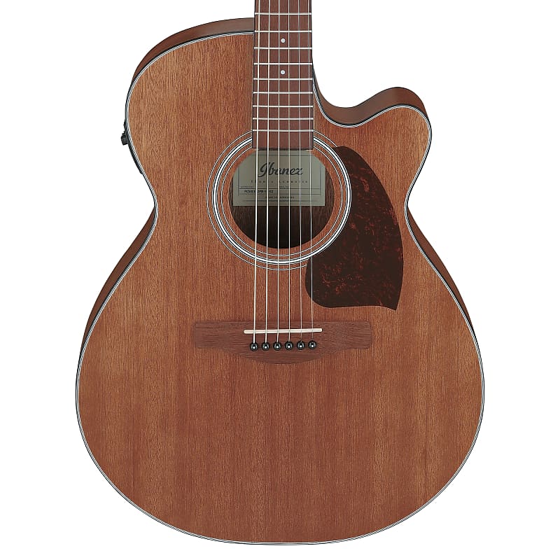 Ibanez PC54CEOPN Acoustic-Electric Guitar Open Pore Natural Pre-Order image 1