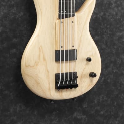 Ibanez GWB1005-NTF Gary Willis Signature E-Bass Made in Japan 5 String Fretless Natural Flat image 3