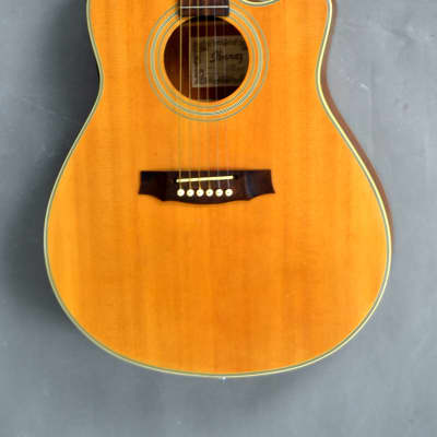 Ibanez AE10 Natural MIK 1995 for sale