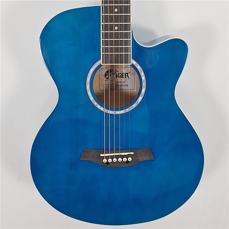 Tiger ACG4 Electro Acoustic Guitar for Beginners, Blue, Reverb UK