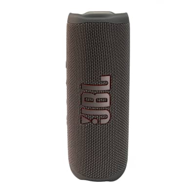JBL FLIP 6 Wireless Portable Waterproof Speaker - Gray + JBL T110 in Ear Headphones Black image 2