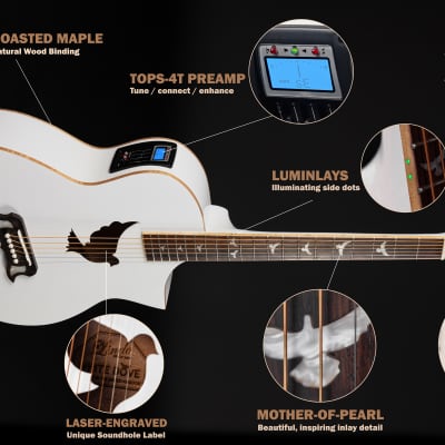 Lindo White Dove V3 Electro Acoustic Guitar | Beautiful High Gloss Finish | Roasted Maple Binding | Preamp/Tuner/LCD | Luminlays | Nylon Strings image 9