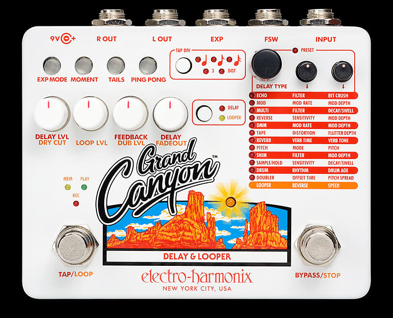 Electro-Harmonix Grand Canyon Delay and Looper | Reverb