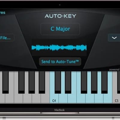 Auto-Tune Unlimited 2 month license  (Download)<br>All current versions of Auto-Tune, plus 12 professional vocal effects, unlimited free upgrades image 4