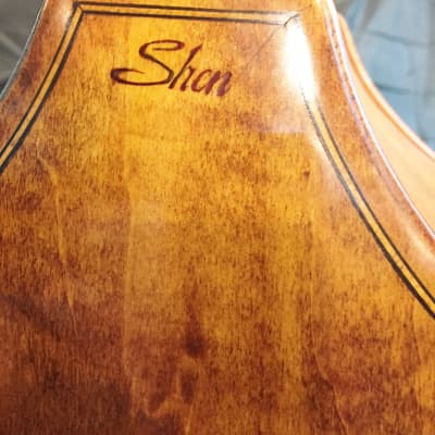 Shen 3/4 Double Bass-Bass Violin-Upright Bass-Model SB 150-Like New-Custom Set Up image 8
