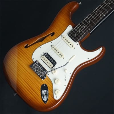 Fender rarities store thinline stratocaster