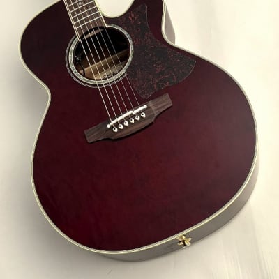Made in Japan] Takamine DMP551C WR [GSB019] | Reverb Canada