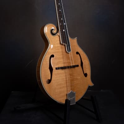 Bourgeois M5-F Aged Tone F-style mandolin Brand New image 3