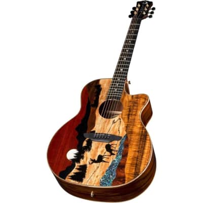 Luna Guitars 6 String Luna Vista Deer Tropical Wood Acoustic-Electric Guitar with Case image 7