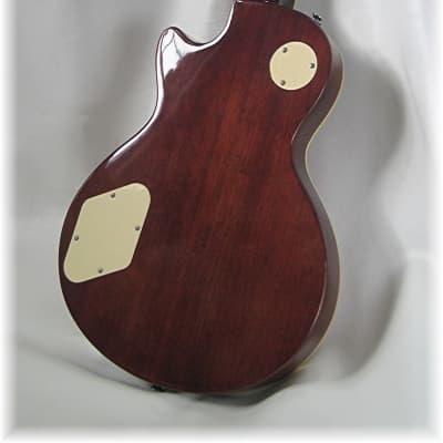 Dillion Professional L Paul style in  Rare Spalted maple. One left! image 4