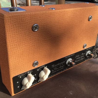 VanAmps Sole Mate Reverbamate Spring Reverb | Reverb