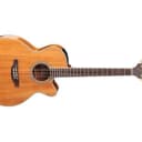 Takamine GN77KCEX Acoustic-Electric Guitar (Used/Mint)