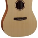 Cort Earth Series Earth-Grand Acoustic Guitar w/ Bag, Open Pore, New, Free Shipping