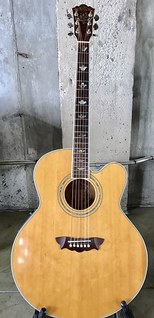 Washburn clearance cumberland jumbo