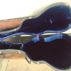 Harptone guitar outlet case