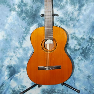 2012 New World Bubinga Model Classical Guitar Truss Rod New Strings Deluxe Original Hard Case for sale
