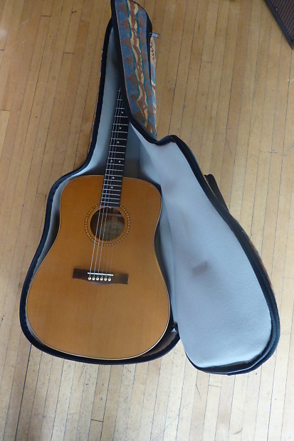 Fender DG25s Solid Cedar Top Acoustic Guitar w Case