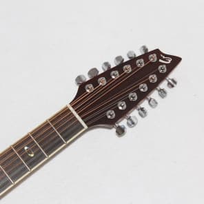 Breedlove Atlas AJ250/SF-12 Plus 12-String Jumbo Acoustic-Electric Guitar image 6