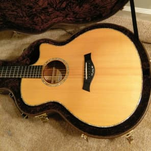 Taylor Fall Limited Edition 2008 GS Koa And Cocobolo Natural Acoustic Electric Guitar image 16