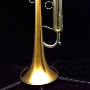 Adams A4-LT Custom Series Large Bore with Gold Brass Bell in Brushed Lacquer image 1